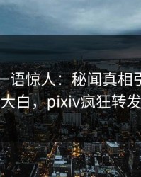 神秘人一语惊人：秘闻真相引发真相大白，pixiv疯狂转发