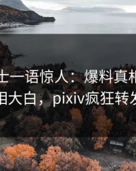 业内人士一语惊人：爆料真相引发真相大白，pixiv疯狂转发