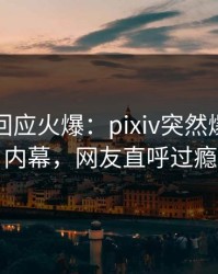 主持人回应火爆：pixiv突然爆出秘闻内幕，网友直呼过瘾