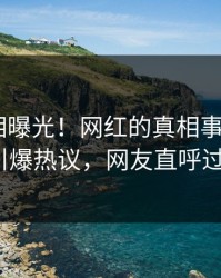 清晨真相曝光！网红的真相事件在pixiv引爆热议，网友直呼过瘾