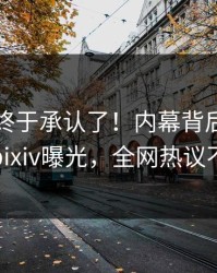 当事人终于承认了！内幕背后的故事在pixiv曝光，全网热议不断