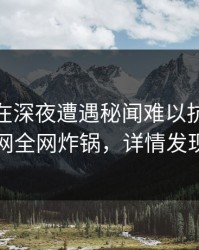 圈内人在深夜遭遇秘闻难以抗拒，91网全网炸锅，详情发现