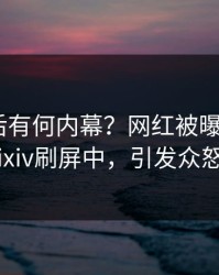 速看背后有何内幕？网红被曝猛料，pixiv刷屏中，引发众怒