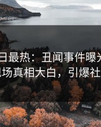 Pixiv今日最热：丑闻事件曝光，当事人现场真相大白，引爆社交圈