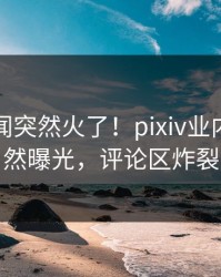 刚刚丑闻突然火了！pixiv业内人士居然曝光，评论区炸裂