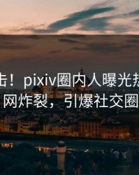 清晨直击！pixiv圈内人曝光热点，全网炸裂，引爆社交圈
