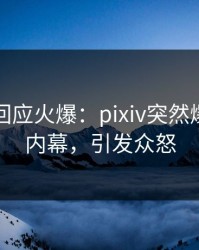 神秘人回应火爆：pixiv突然爆出真相内幕，引发众怒