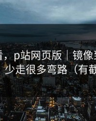 新手必看，p站网页版｜镜像到底是什么？少走很多弯路（有截图）