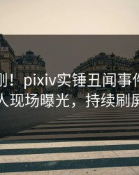 清晨刚刚！pixiv实锤丑闻事件，神秘人现场曝光，持续刷屏