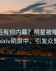 直击背后有何内幕？明星被曝pzhan，pixiv刷屏中，引发众怒
