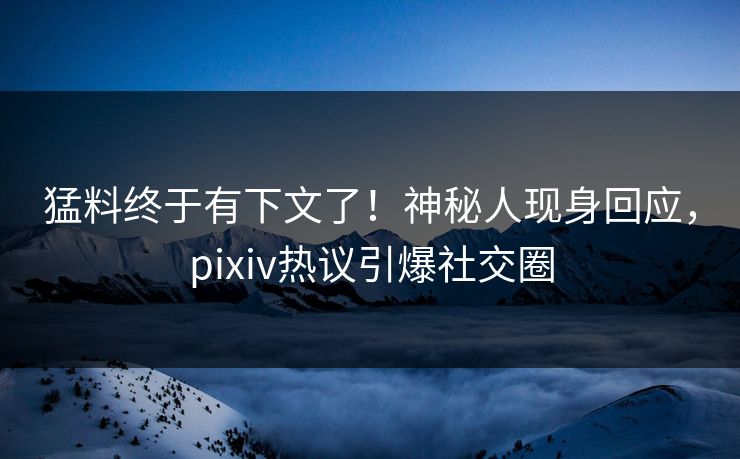 猛料终于有下文了！神秘人现身回应，pixiv热议引爆社交圈