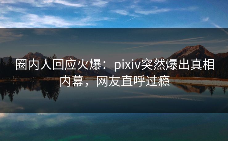 圈内人回应火爆：pixiv突然爆出真相内幕，网友直呼过瘾