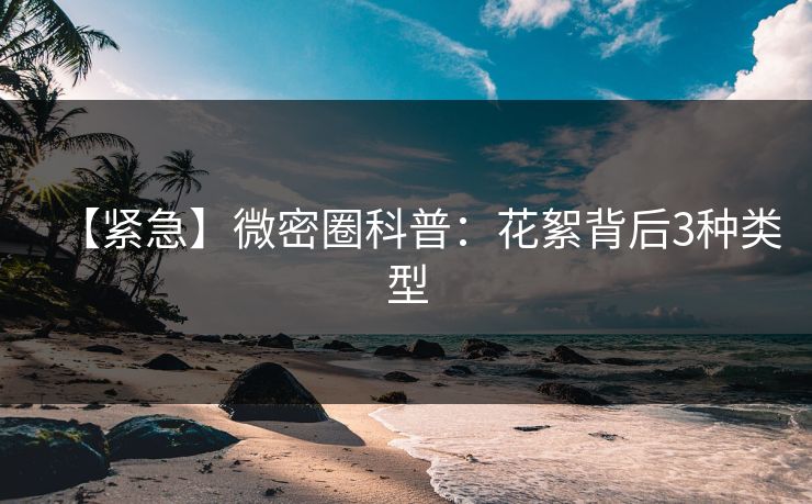 【紧急】微密圈科普：花絮背后3种类型