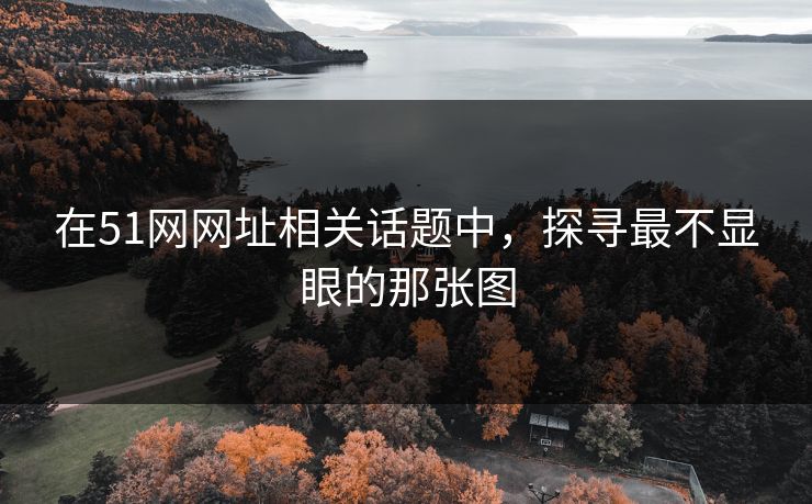 在51网网址相关话题中,探寻最不显眼的那张图 在51网网址相关话题中,探寻最不显眼的那张图
